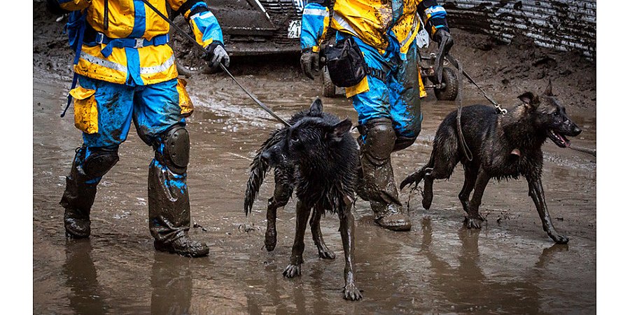 На западе Японии около 75 тыс. человек получили рекомендации эвакуироваться из-за ливней
