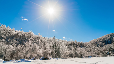 Не ешьте рыбу на Петра-полукорма: приметы на 3 января 