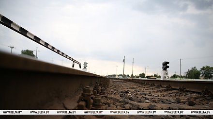 БЖД назначила 14 дополнительных поездов в период проведения праздника "Купалье" в Александрии