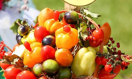 В Ивье установят памятник помидору