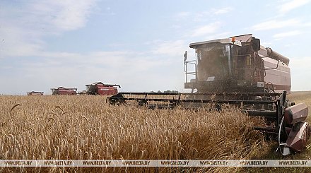 Игорь Сергеенко об уборочной: слагаемые успеха - техническая составляющая и готовность людей