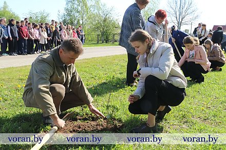 В честь жителей Вороновщины, признанных Праведниками народов мира, во дворе Радунской средней школы высадили сиреневую аллею