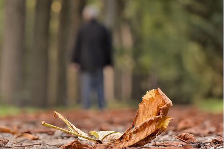 Пошаговая инструкция для борьбы с сезонной депрессией