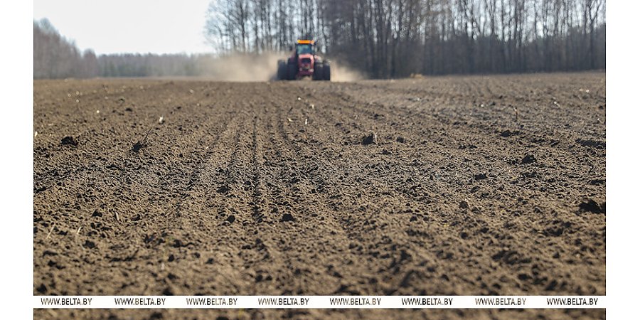 Александру Лукашенко доложили о ходе весенних полевых работ в Беларуси