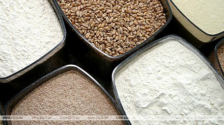 Правительство вводит ограничения на вывоз из Беларуси отдельных видов продовольственных товаров