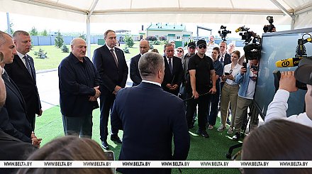 Александр Лукашенко поручил выработать четкую программу по разведению в Беларуси красной породы коров 