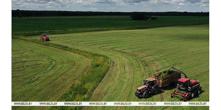 В Беларуси травы первого укоса скошены более чем на 23% площадей