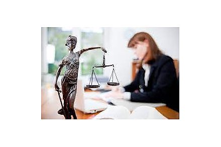 Нотариусы проконсультируют бесплатно