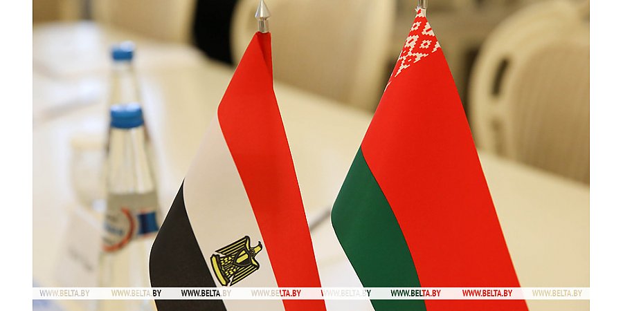 Александр Лукашенко подтвердил готовность Беларуси к углублению взаимодействия с Египтом