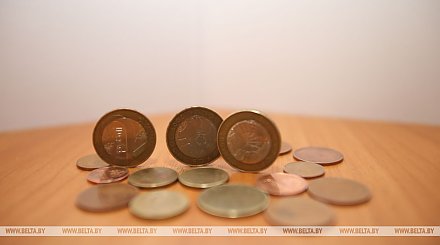 В Беларуси может появиться "налог на богатство"