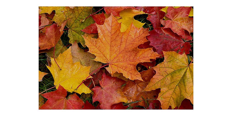 Народные приметы на 25 сентября 2025 года: что можно и нельзя делать в этот день