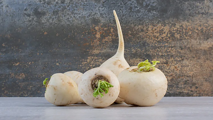 Народные приметы на 26 сентября: что можно и нельзя делать в этот день