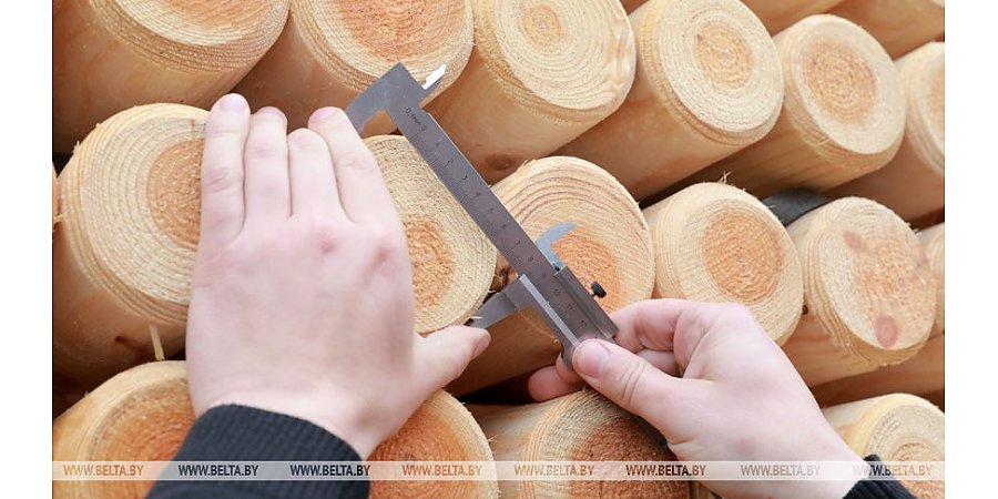 Минлесхоз установил размер штрафа за нецелевое использование деловой древесины физлицами