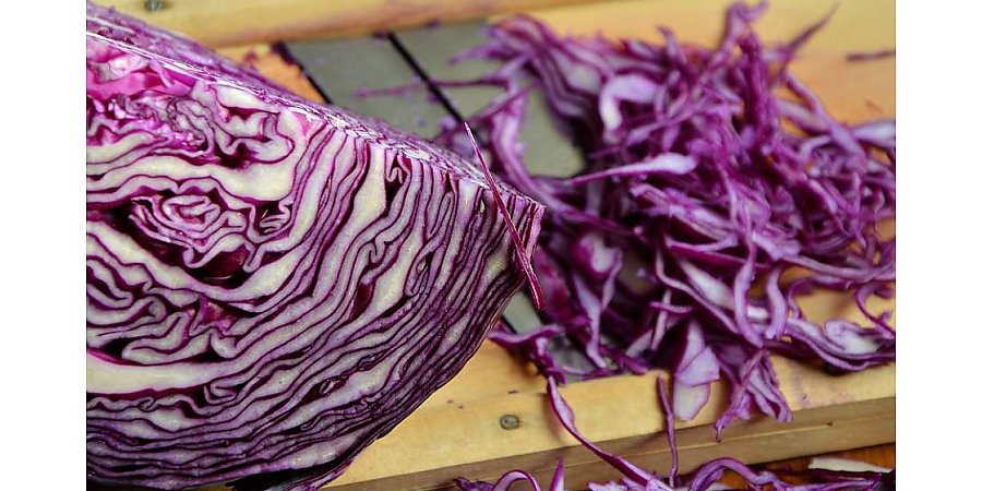 Раскрыт способ понизить артериальное давление без таблеток