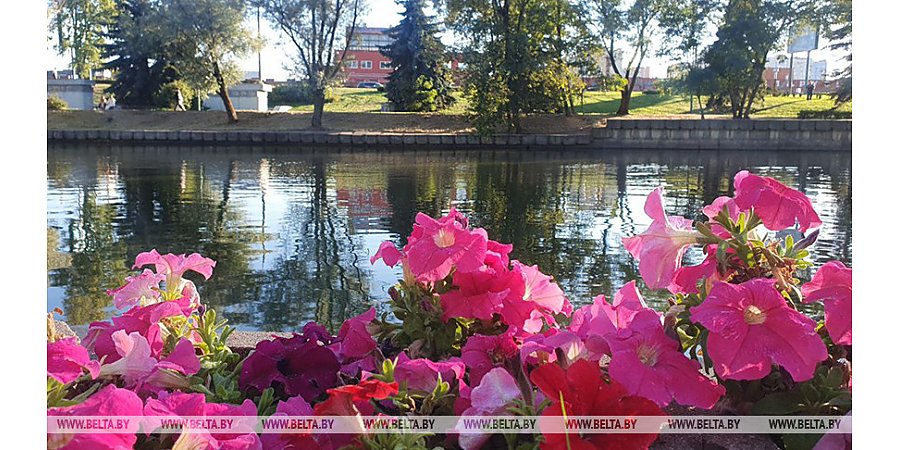 Жаркая и без осадков погода ожидается сегодня в Беларуси 