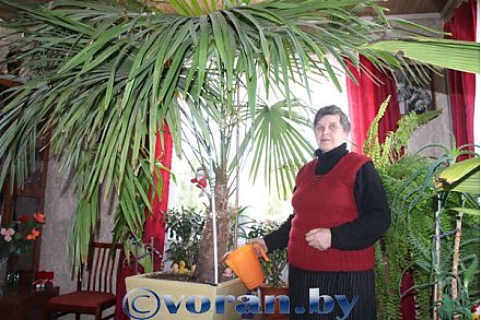 Не хватает только моря...