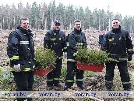 Вороновский район включился в общереспубликанскую акцию Министерства лесного хозяйства «Лес! Дабро! Парадак!»