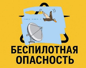 ВОЗДУШНАЯ ТРЕВОГА В ЛИТВЕ: как натовские истребители проиграли битву с перелетными гусями