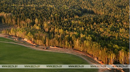 Запрет на посещение лесов снят в 32 районах Беларуси