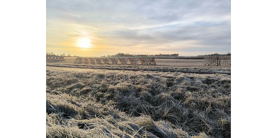 Народный календарь на 3 февраля 2025: что можно и нельзя делать, приметы и праздники