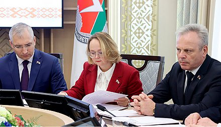 ЦИК утвердил состав Наблюдательного совета по контролю за предвыборной агитацией в СМИ