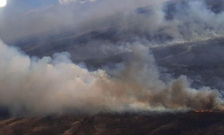 Из-за пожароопасной ситуации в Беларуси введены первые ограничения на посещение лесов