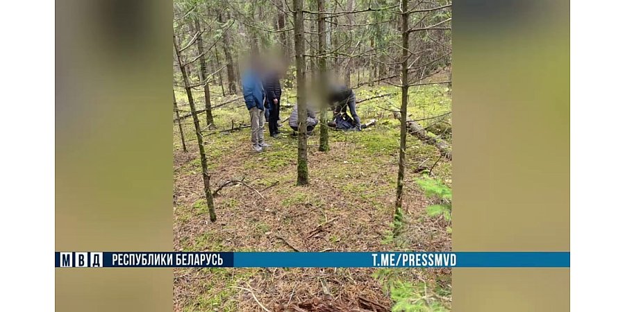 Троих наркокурьеров задержали оперативники наркоконтроля Гродненщины
