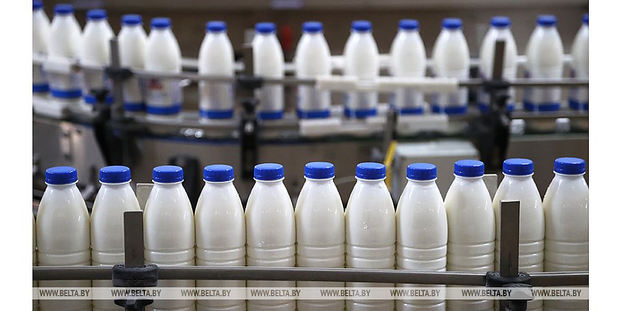 Польская молочная промышленность находится на грани катастрофы
