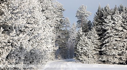 В Беларуси снова ожидается усиление морозов 