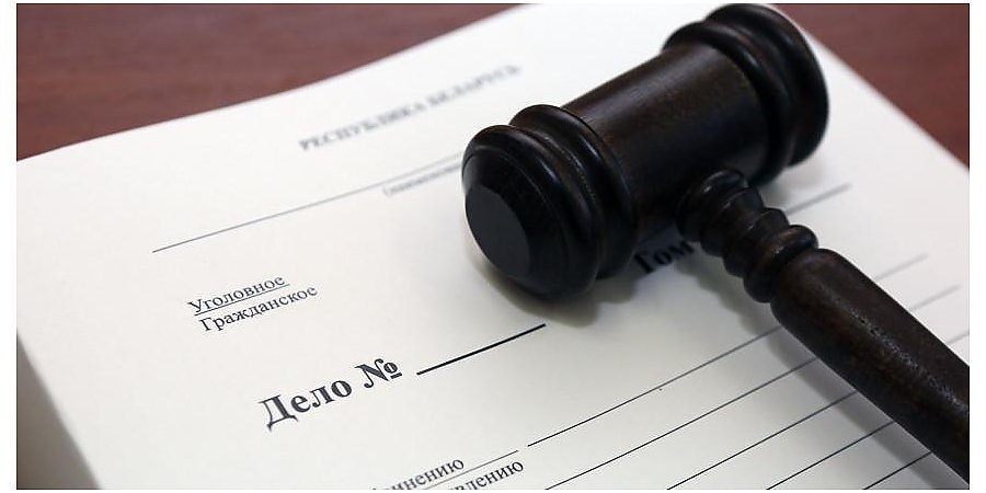 Возбуждено уголовное дело в отношении представителей «Народных посольств» и «Белорусов зарубежья»