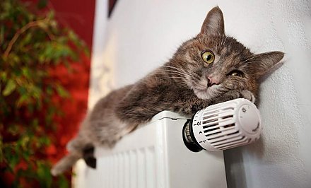 Когда в Беларуси отключат отопление?