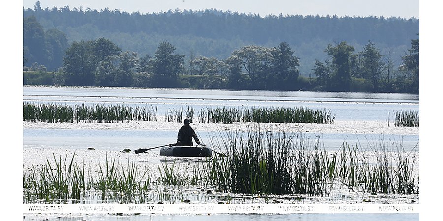 Госинспекция планирует внести изменения в правила рыболовства