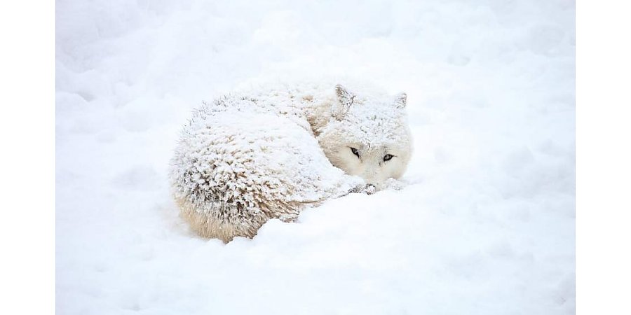 Малооблачно и без осадков. Синоптики рассказали о погоде в Беларуси 24 февраля