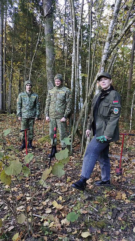 В Вороновском районе продолжается акция «Дай лесу новае жыццё!»