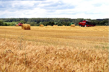 Жатве — темпы, качество и ответственность
