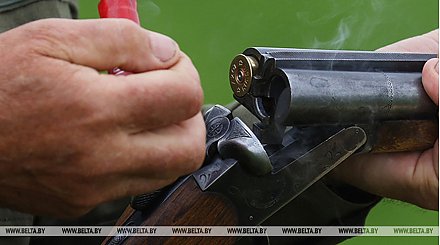 Особый порядок по медведю и рыси: что нового в правилах охоты в Беларуси