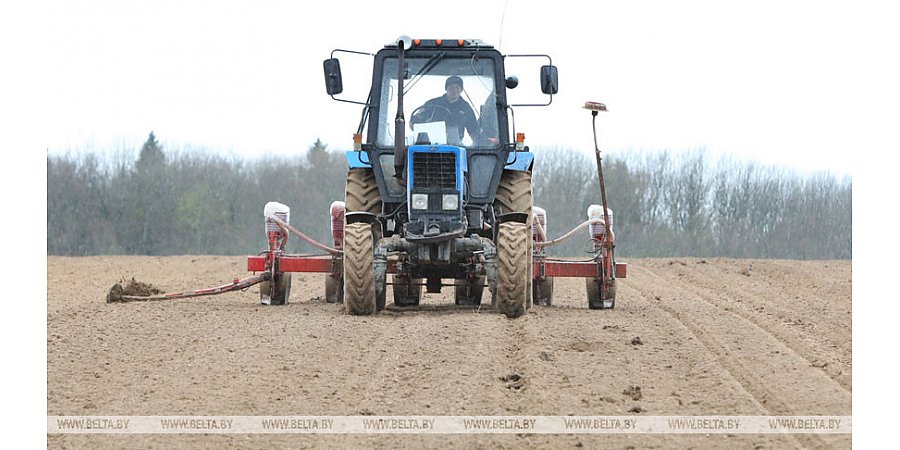 Беларусь и Пакистан рассматривают возможность создания сборочного производства белорусских тракторов
