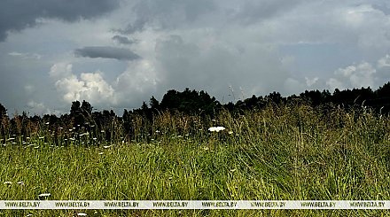 Непогода не сдается. Грозы и ливни ожидаются в Беларуси 20 июля