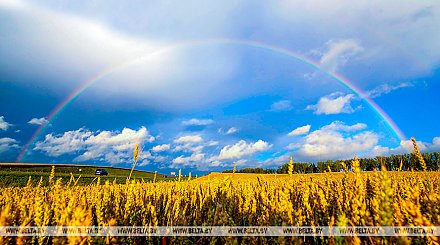 Грозы ожидаются местами по Беларуси 6 сентября