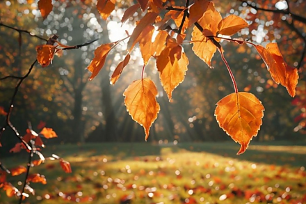 Народные приметы на 3 ноября 2025: что можно и нельзя делать в Иларионов день