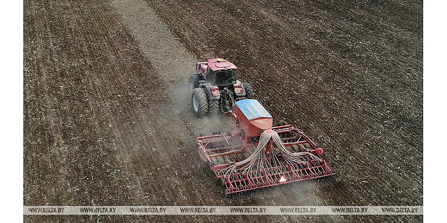 Совмин утвердил меры по подготовке к полевым работам и уборке урожая в 2023 году
