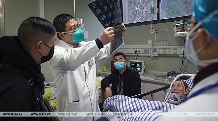 Китайские ученые: источником коронавируса были дикие животные
