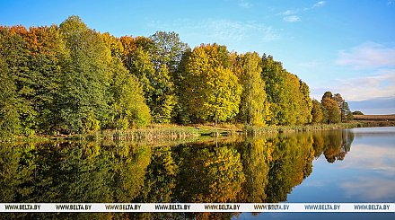 Преимущественно без осадков и до +11°С ожидается 20 октября