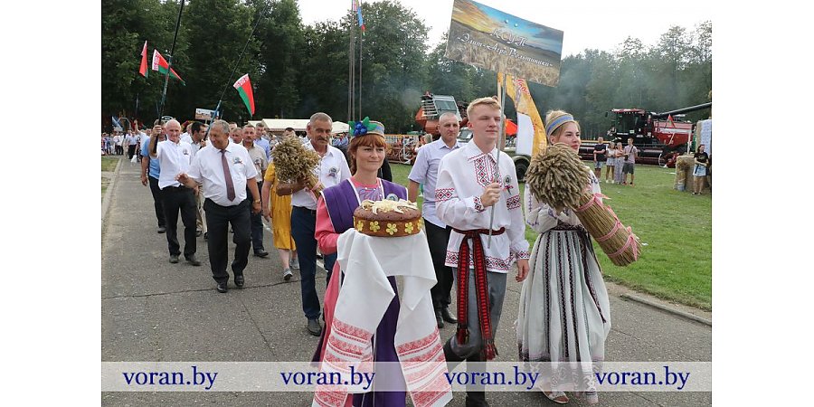 Праздничные шествия, тематические подворья, душистые караваи. Районы Гродненщины празднуют «Дожинки»