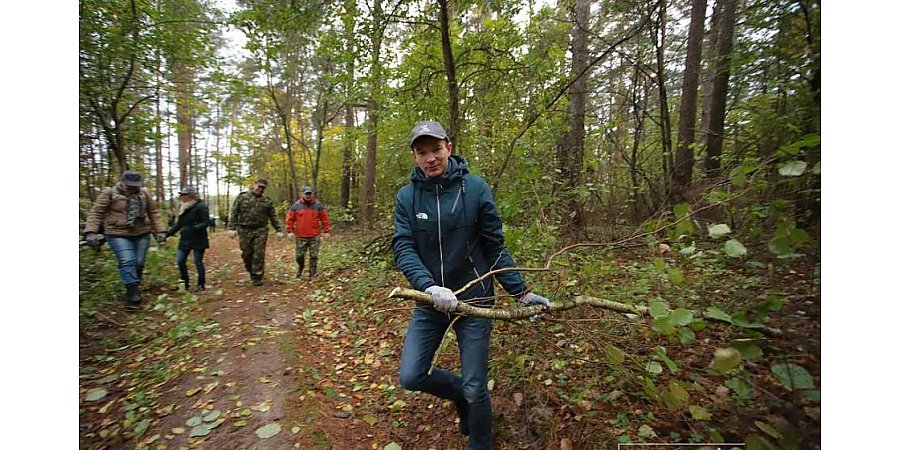 Порядка 5000 добровольцев планируют присоединиться к акции "Чистый лес" на Гродненщине