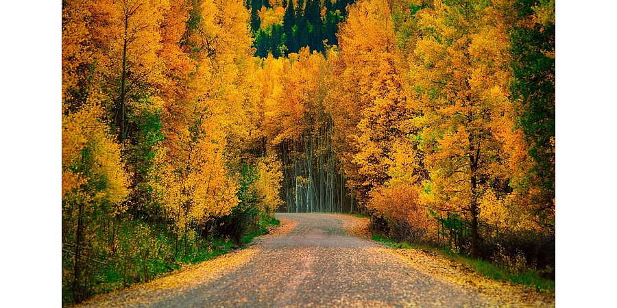 Народные приметы на 28 сентября 2025 года: что можно и нельзя делать в этот день