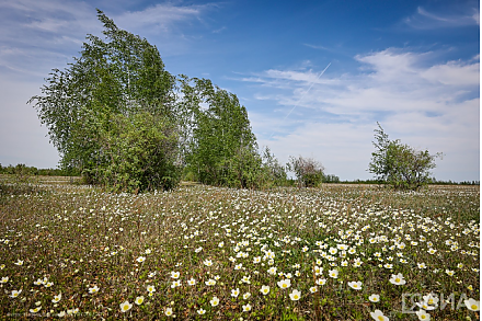 Народные приметы на 21 августа: что можно и нельзя делать в этот день
