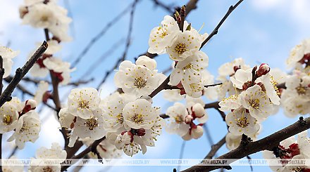 Кому в субботу не обойтись без зонта? Синоптики рассказали о погоде 18 апреля