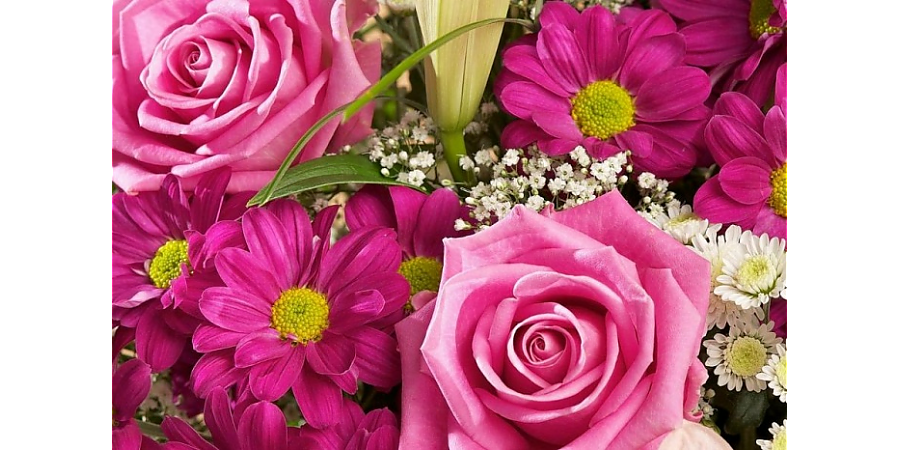 Поздравление депутата Палаты представителей Национального собрания Республики Беларусь Надежды Хальцовой с Днем Матери!