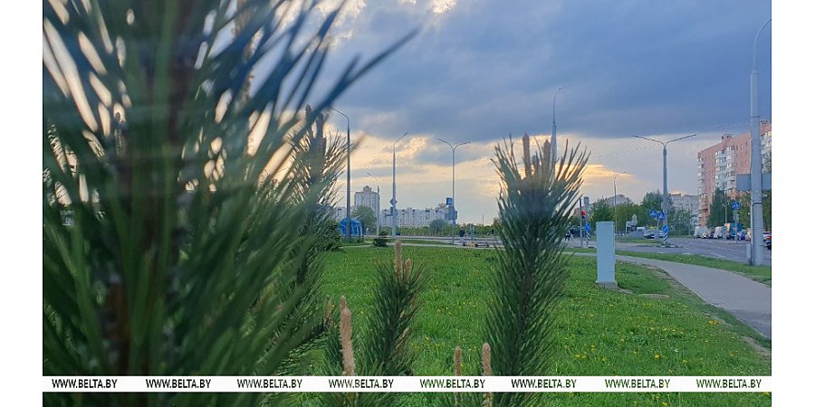 Где в Беларуси сегодня будет теплее всего? Ответили синоптики